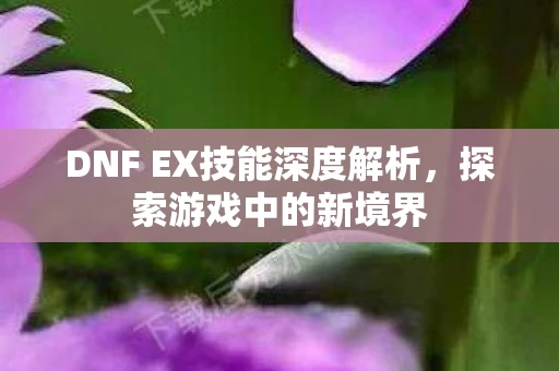DNF EX技能深度解析，探索游戏中的新境界
