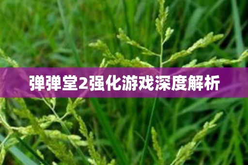 弹弹堂2强化游戏深度解析图片