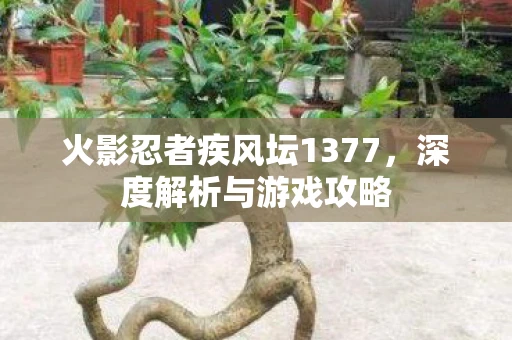 火影忍者疾风坛1377，深度解析与游戏攻略