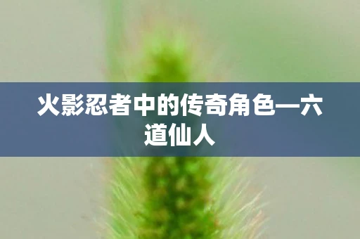 火影忍者中的传奇角色—六道仙人