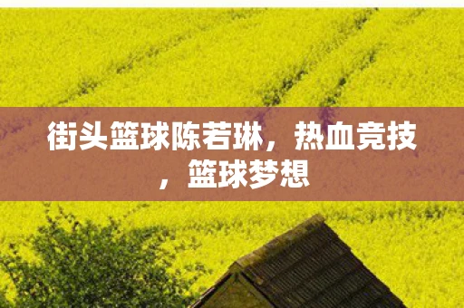 街头篮球陈若琳，热血竞技，篮球梦想