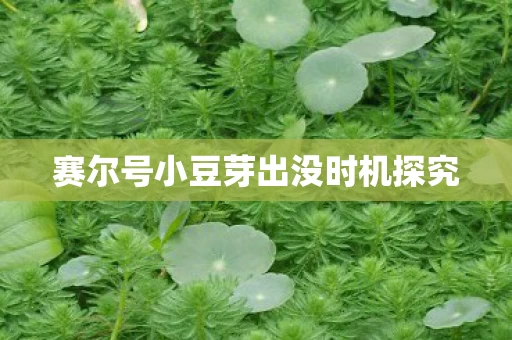 赛尔号小豆芽出没时机探究图片