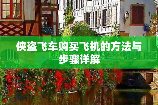侠盗飞车购买飞机的方法与步骤详解