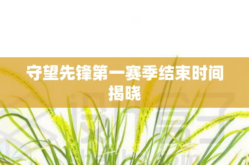守望先锋第一赛季结束时间揭晓图片