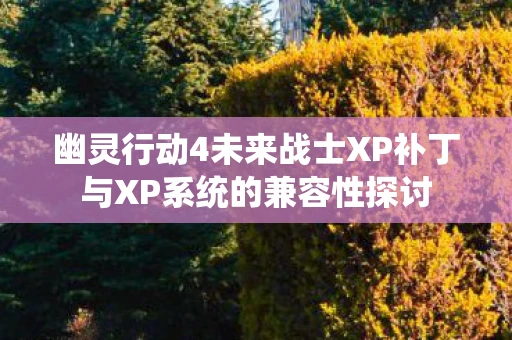 幽灵行动4未来战士XP补丁与XP系统的兼容性探讨
