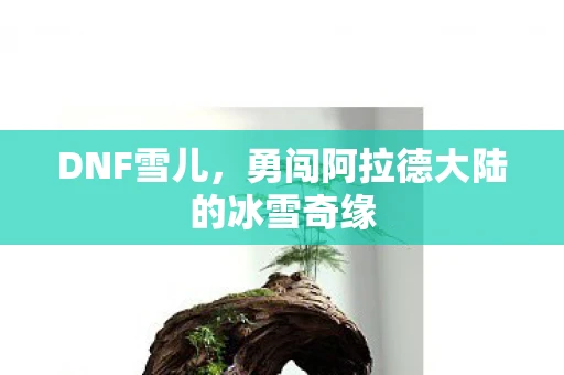 DNF雪儿，勇闯阿拉德大陆的冰雪奇缘