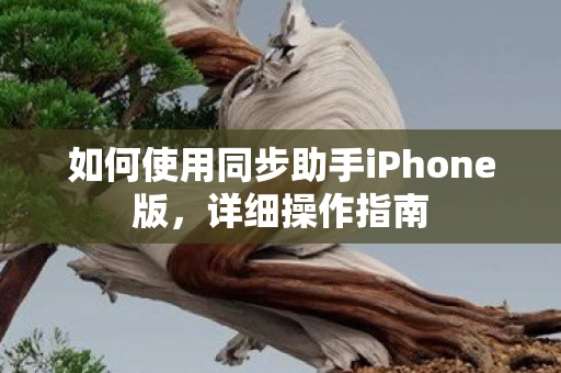 如何使用同步助手iPhone版图片