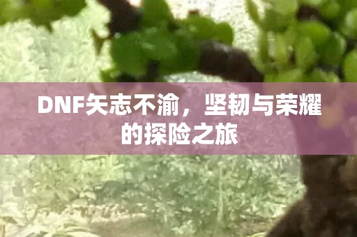 DNF矢志不渝，坚韧与荣耀的探险之旅