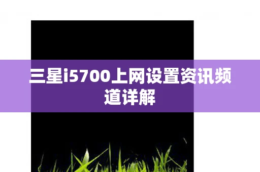 三星i5700上网设置资讯频道详解