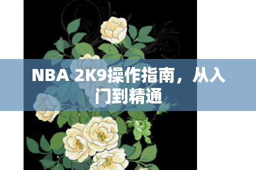 NBA 2K9操作指南，从入门到精通