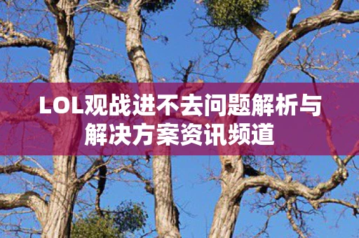 LOL观战进不去问题解析与解决方案资讯频道