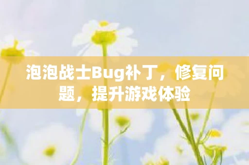 泡泡战士Bug补丁图片