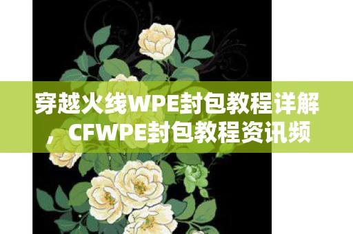 穿越火线WPE封包教程详解，CFWPE封包教程资讯频道