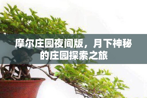 摩尔庄园夜间版，月下神秘的庄园探索之旅