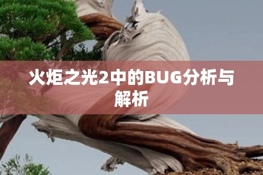 火炬之光2中的BUG分析与解析