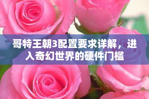 哥特王朝3配置要求详解图片
