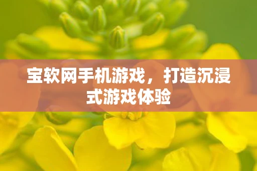 宝软网手机游戏，打造沉浸式游戏体验