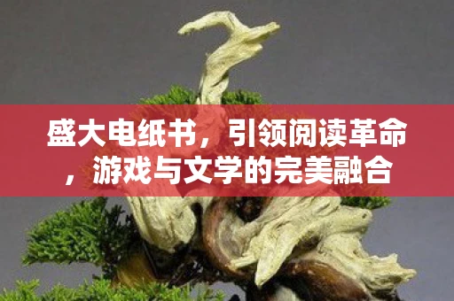 盛大电纸书，引领阅读革命，游戏与文学的完美融合