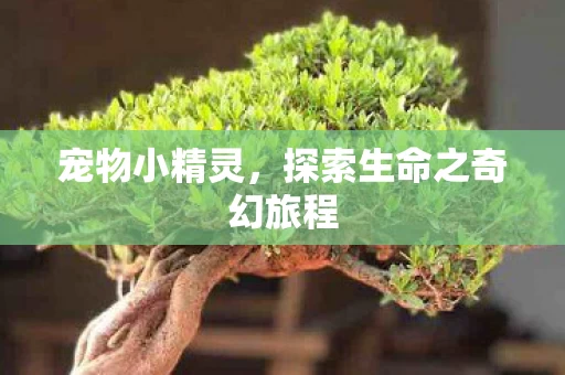 探索生命之奇幻旅程图片