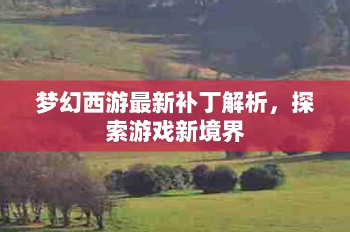 梦幻西游最新补丁解析图片