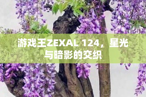 游戏王ZEXAL 124，星光与暗影的交织