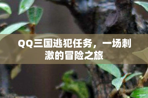 QQ三国逃犯任务，一场刺激的冒险之旅