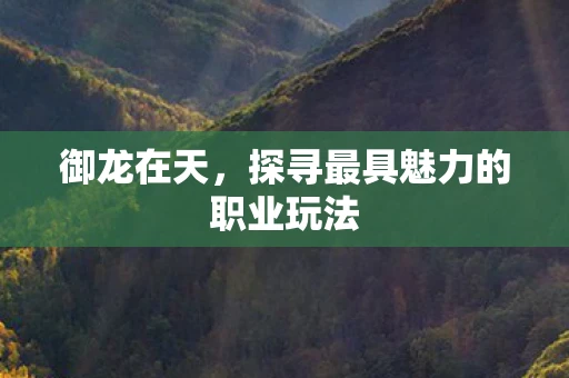 御龙在天，探寻最具魅力的职业玩法