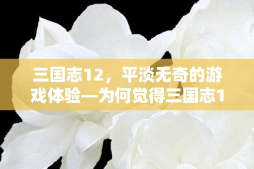 三国志12，平淡无奇的游戏体验—为何觉得三国志12不好玩
