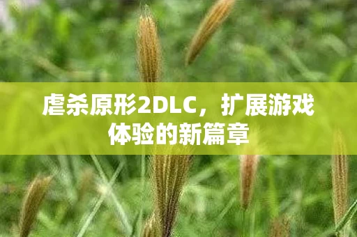 扩展游戏体验的新篇章图片