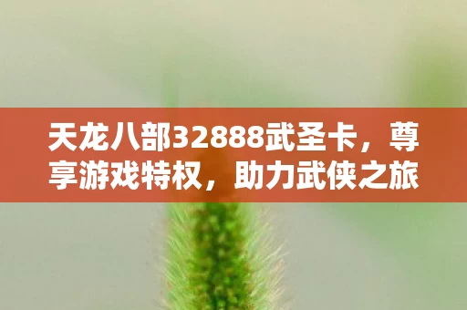 天龙八部32888武圣卡图片
