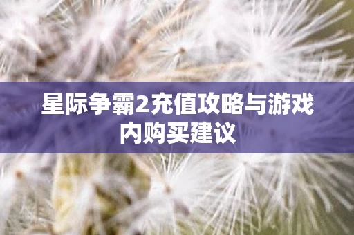星际争霸2充值攻略与游戏内购买建议图片