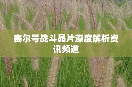 赛尔号战斗晶片深度解析资讯频道图片