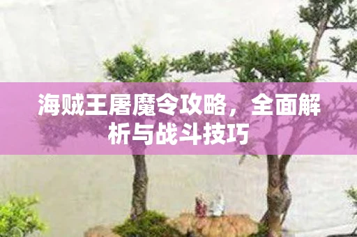 海贼王屠魔令攻略，全面解析与战斗技巧