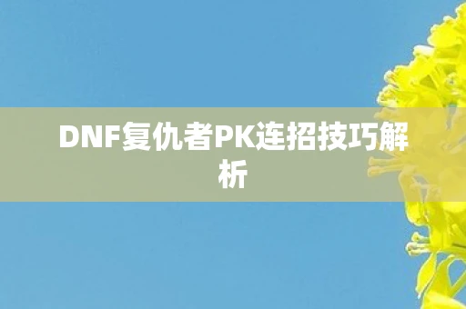 DNF复仇者PK连招技巧解析