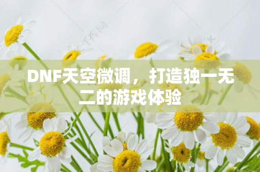 DNF天空微调，打造独一无二的游戏体验
