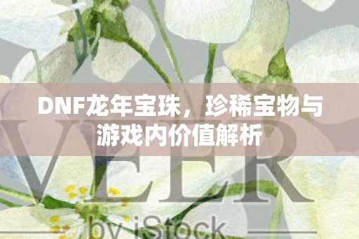 DNF龙年宝珠，珍稀宝物与游戏内价值解析
