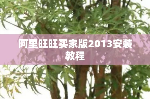 阿里旺旺买家版2013安装教程图片