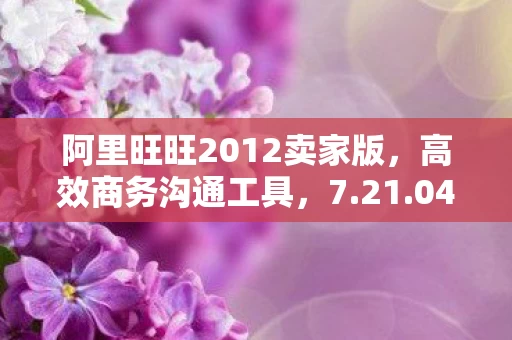 阿里旺旺2012卖家版图片
