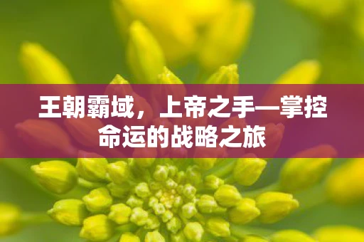 王朝霸域，上帝之手—掌控命运的战略之旅