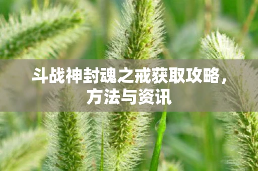 斗战神封魂之戒获取攻略，方法与资讯