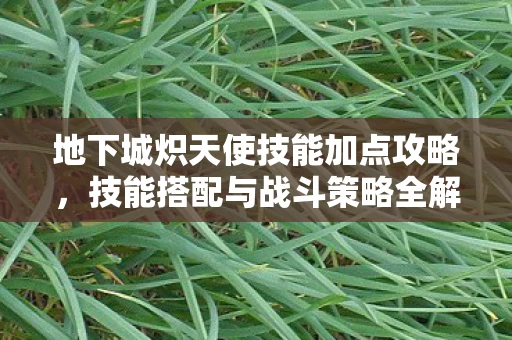 地下城炽天使技能加点攻略图片