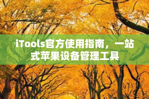 iTools官方使用指南图片