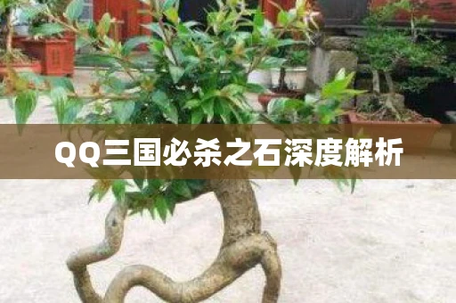QQ三国必杀之石深度解析