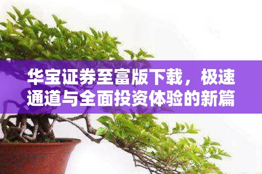 极速通道与全面投资体验的新篇章图片