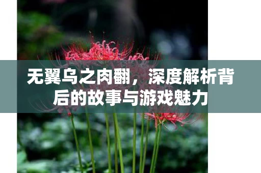 深度解析背后的故事与游戏魅力图片