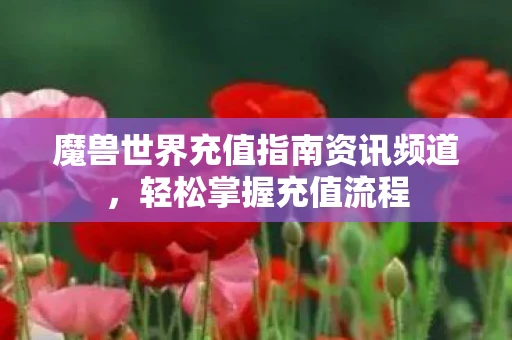 魔兽世界充值指南资讯频道，轻松掌握充值流程