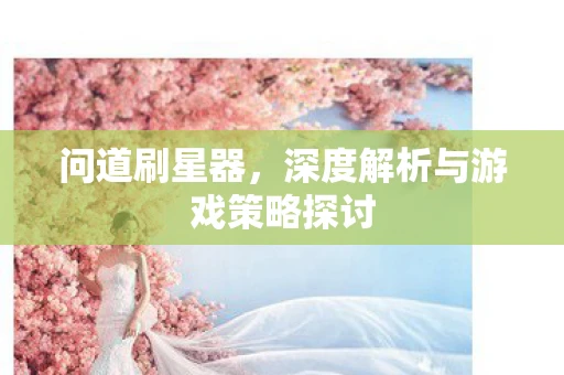 问道刷星器，深度解析与游戏策略探讨