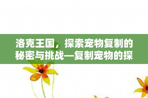 洛克王国，探索宠物复制的秘密与挑战—复制宠物的探索之旅