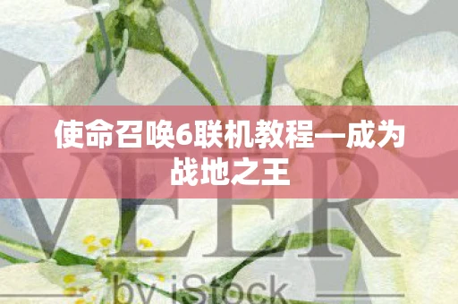 使命召唤6联机教程—成为战地之王