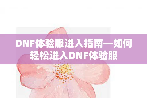 如何轻松进入DNF体验服图片